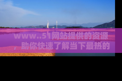 www..51网站提供的资源，助你快速了解当下最热的娱乐八卦