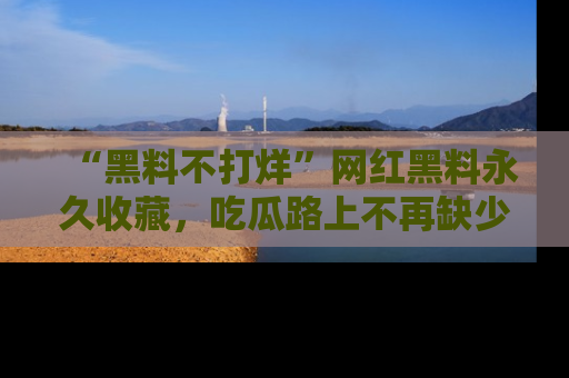 “黑料不打烊”网红黑料永久收藏，吃瓜路上不再缺少惊喜与乐趣
