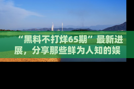 “黑料不打烊65期”最新进展，分享那些鲜为人知的娱乐八卦
