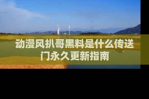 动漫风扒哥黑料是什么传送门永久更新指南