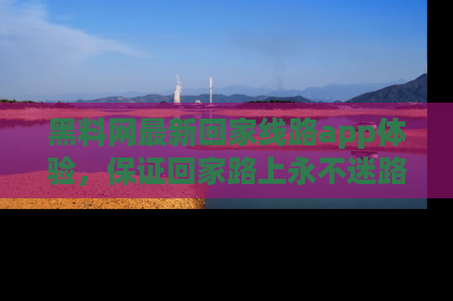 黑料网最新回家线路app体验，保证回家路上永不迷路顺畅