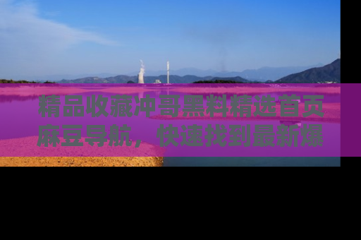 精品收藏冲哥黑料精选首页麻豆导航，快速找到最新爆料