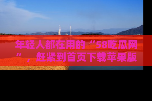 年轻人都在用的“58吃瓜网”，赶紧到首页下载苹果版吧！