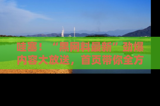 哇塞！“黑网料最新”劲爆内容大放送，首页带你全方位了解哦，小可爱们