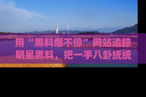 用“黑料爆不停”网站追踪明星黑料，把一手八卦统统收进你的后宫中！
