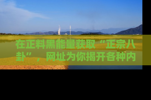 在正料黑能量获取“正宗八卦”，网址为你揭开各种内幕故事！